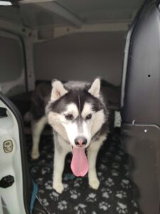 Perrin - Pet sitting